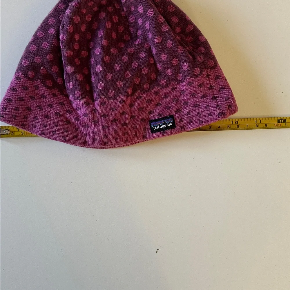 Patagonia Fleece Lined Winter Hat